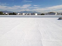 elastomeric roof coating